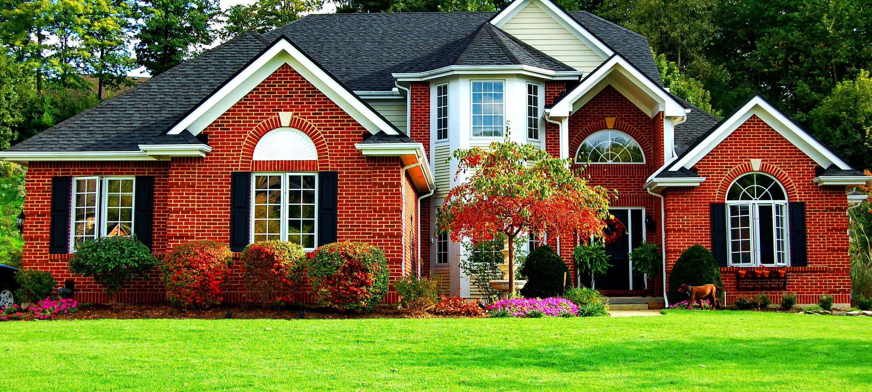 straight line painting llc Suzi Hogg